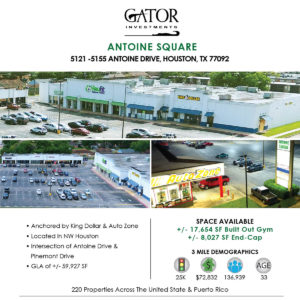 Anchor Space For Lease in Houston, TX
