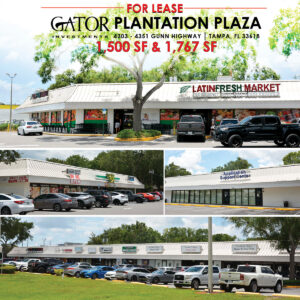 Retail space for lease in Gator Investments owned Plantation Plaza in Tampa, FL
