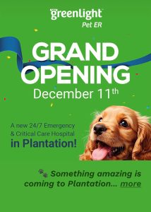 Greenlight Pet ER Opening in Gator Investments owned Jacaranda Square